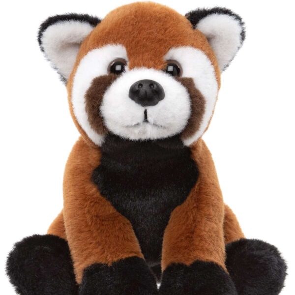 Red-Panda-CC25112G