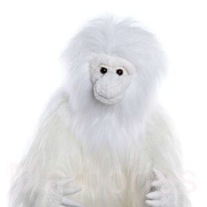 Yeti-CB245329-Face