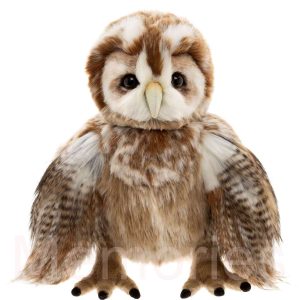 Flight-Lieutenant-Fountain-CB262607