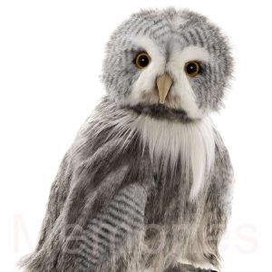 Squadron-Leader-Pearson-profile-CB262609