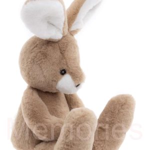 Harry-Hare-profile-BM255401MOAB