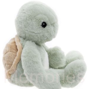 Timmy-Tortoise-profile-BM255402MPEPG