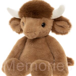 Henry-Highland-Cow-profile-BM265444MOAB